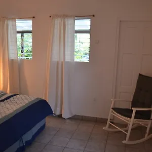 Palm Trees Apartamento Willemstad